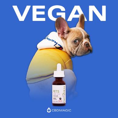 cbd for dogs