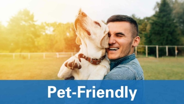 CBD for pets